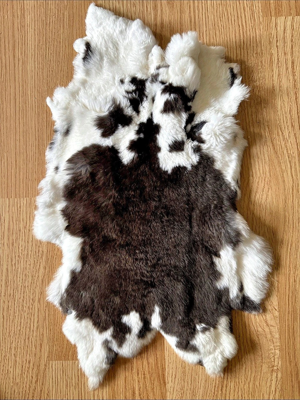 B0268 Rex rabbit hide craft supply